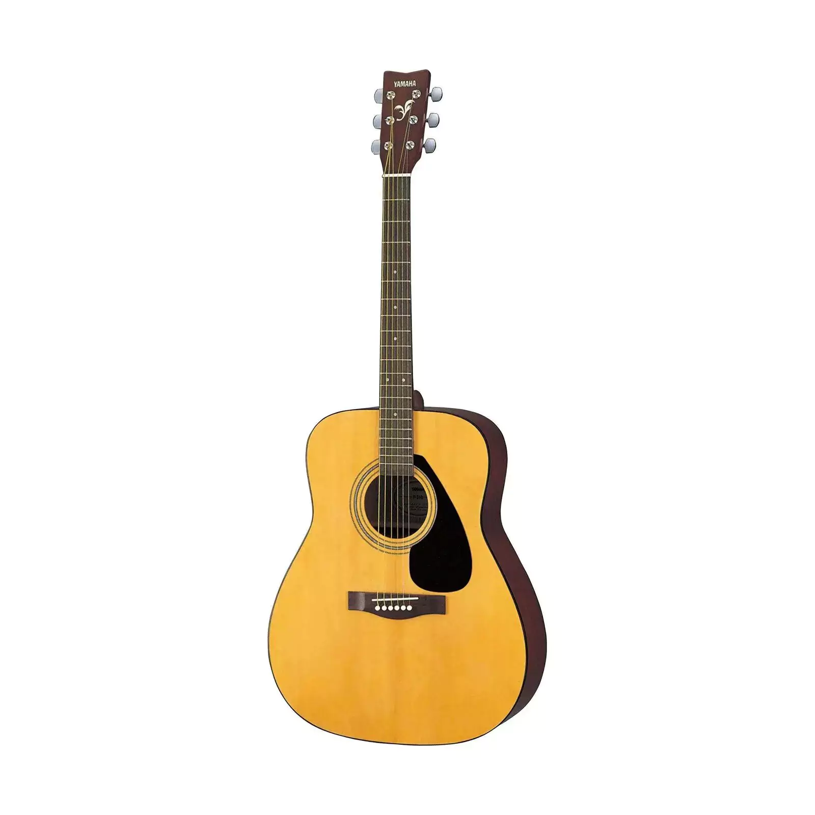 image of acoustic guitar